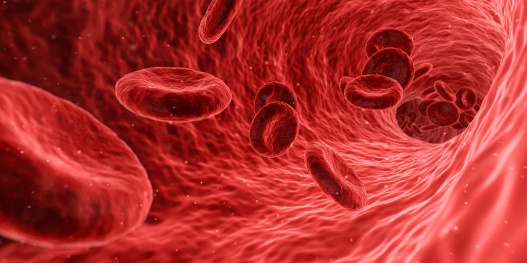Medical Anatomy Blood Cells Health Red Medicine
